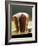 Golden Syrup Pudding-John Hay-Framed Photographic Print