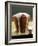 Golden Syrup Pudding-John Hay-Framed Photographic Print