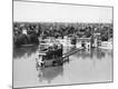 Premium Photographic Print
