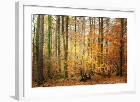 Golden Time-Philippe Sainte-Laudy-Framed Photographic Print