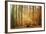 Golden Time-Philippe Sainte-Laudy-Framed Photographic Print