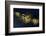 Golden touch-Heidi Westum-Framed Photographic Print