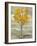 Golden Tree and Fog I-Silvia Vassileva-Framed Art Print