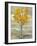 Golden Tree and Fog I-Silvia Vassileva-Framed Art Print