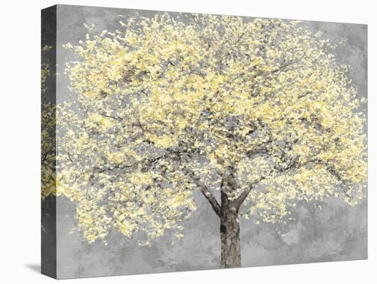 Golden Tree Blossom-Tania Bello-Framed Stretched Canvas