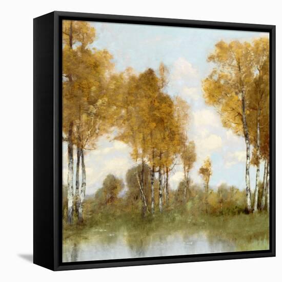 Golden Tree Pond II-Christy McKee-Framed Stretched Canvas