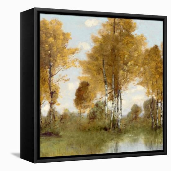 Golden Tree Pond III-Christy McKee-Framed Stretched Canvas