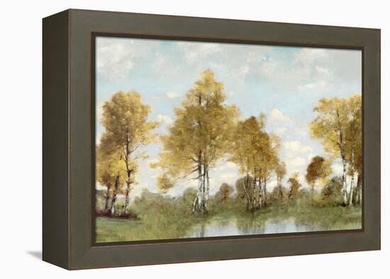 Golden Tree Pond IV-Christy McKee-Framed Stretched Canvas