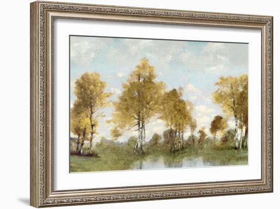 Golden Tree Pond IV-Christy McKee-Framed Art Print