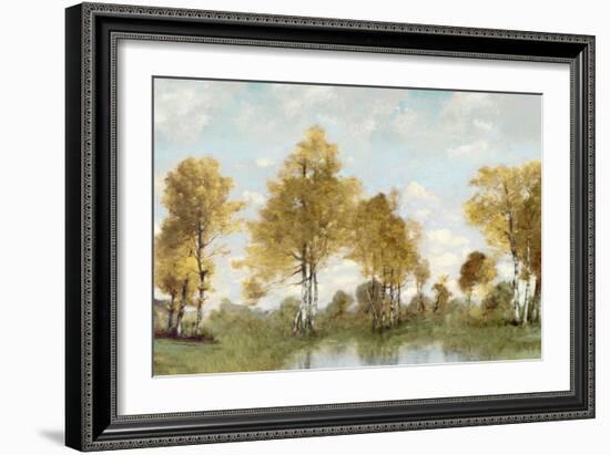 Golden Tree Pond IV-Christy McKee-Framed Art Print