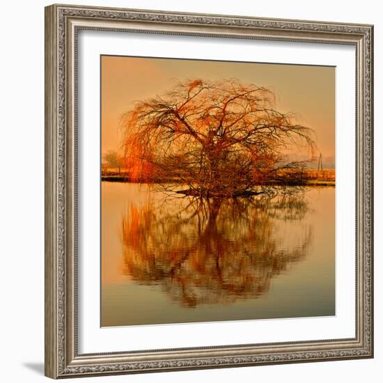 Golden Tree-Philippe Sainte-Laudy-Framed Photographic Print