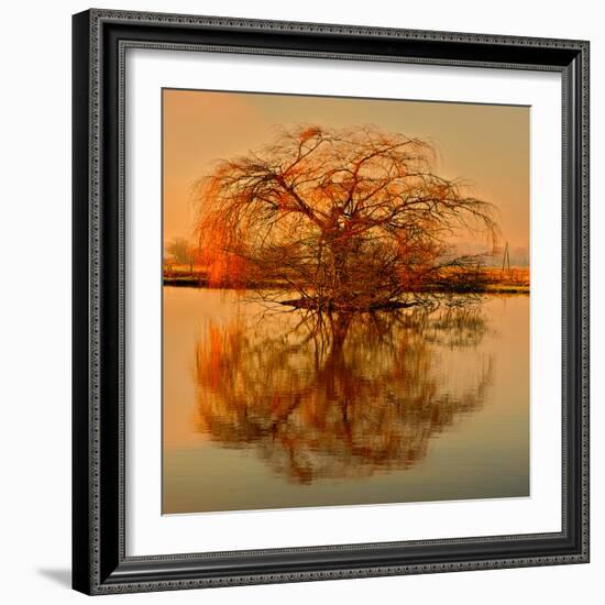 Golden Tree-Philippe Sainte-Laudy-Framed Photographic Print