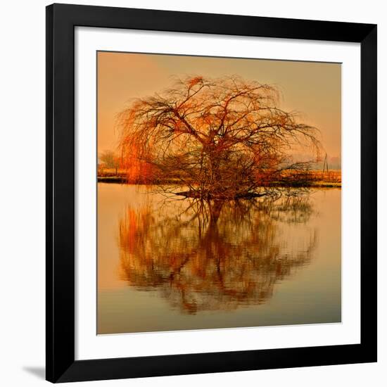 Golden Tree-Philippe Sainte-Laudy-Framed Giclee Print