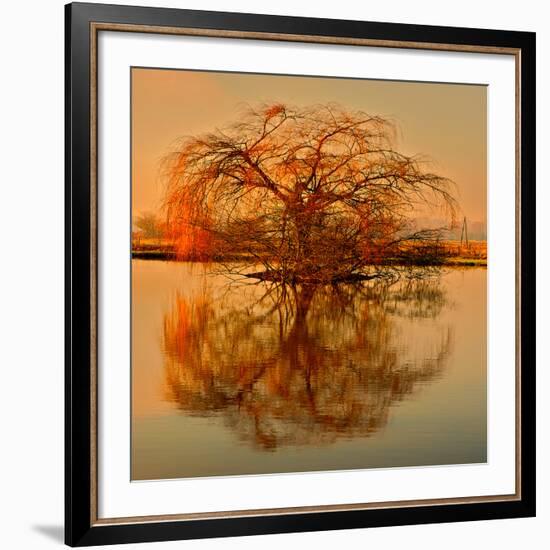 Golden Tree-Philippe Sainte-Laudy-Framed Giclee Print