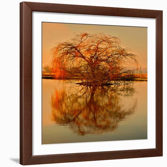 Golden Tree-Philippe Sainte-Laudy-Framed Giclee Print