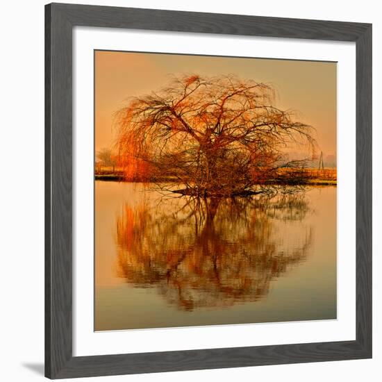 Golden Tree-Philippe Sainte-Laudy-Framed Giclee Print