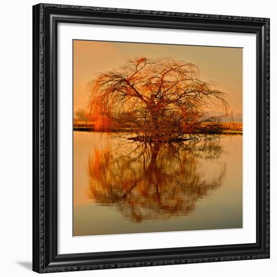 Golden Tree-Philippe Sainte-Laudy-Framed Giclee Print