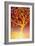 Golden Tree-Margaret Coxall-Framed Giclee Print