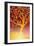 Golden Tree-Margaret Coxall-Framed Giclee Print