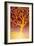 Golden Tree-Margaret Coxall-Framed Giclee Print