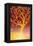 Golden Tree-Margaret Coxall-Framed Premier Image Canvas