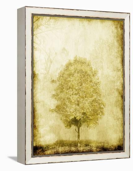 Golden Tree-OnRei-Framed Stretched Canvas