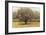 Golden Trees I Taupe-James Wiens-Framed Premium Giclee Print