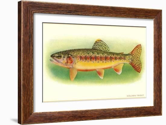 Golden Trout-null-Framed Art Print