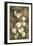 Golden Tulips-Linda Thompson-Framed Giclee Print