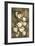 Golden Tulips-Linda Thompson-Framed Giclee Print