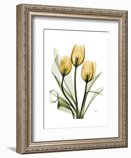 Golden Tulips-Albert Koetsier-Framed Art Print