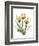 Golden Tulips-Albert Koetsier-Framed Art Print