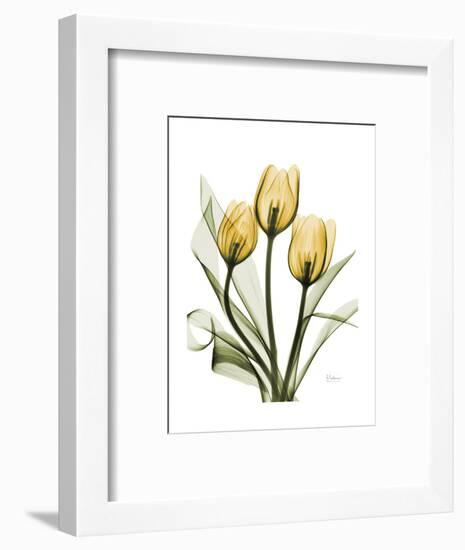 Golden Tulips-Albert Koetsier-Framed Art Print