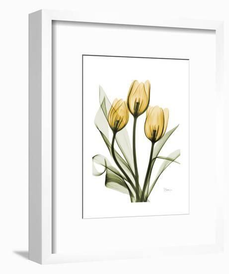 Golden Tulips-Albert Koetsier-Framed Art Print