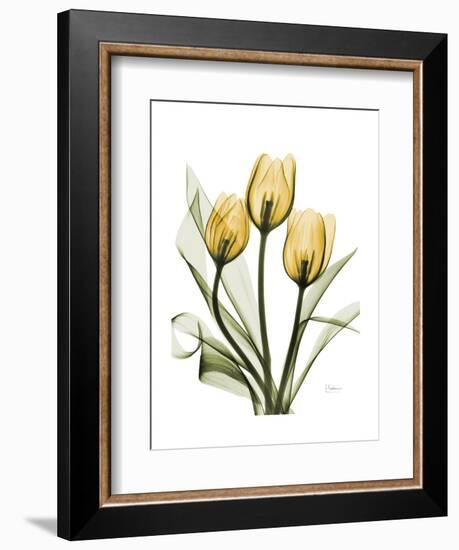 Golden Tulips-Albert Koetsier-Framed Art Print