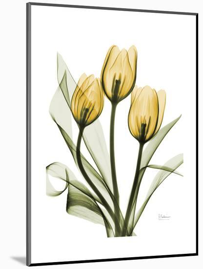 Golden Tulips-Albert Koetsier-Mounted Art Print