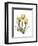 Golden Tulips-Albert Koetsier-Framed Art Print