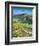 Golden Tuscana-Scott Westmoreland-Framed Premium Giclee Print