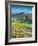 Golden Tuscana-Scott Westmoreland-Framed Art Print