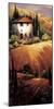 Golden Tuscany-Nancy O'toole-Mounted Giclee Print