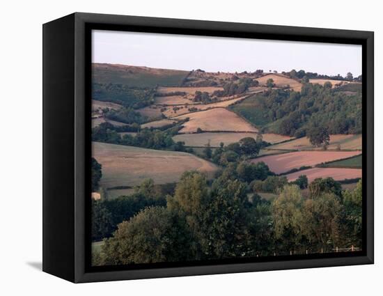 Golden Valley, Herefordshire, England, United Kingdom-Michael Busselle-Framed Premier Image Canvas