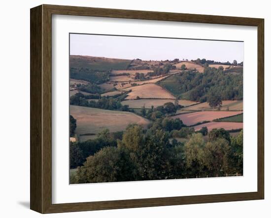 Golden Valley, Herefordshire, England, United Kingdom-Michael Busselle-Framed Photographic Print