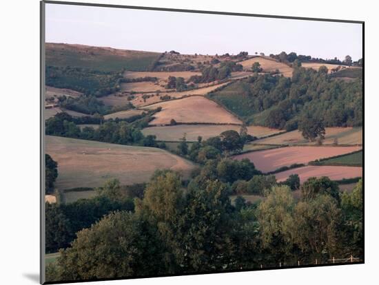 Golden Valley, Herefordshire, England, United Kingdom-Michael Busselle-Mounted Photographic Print