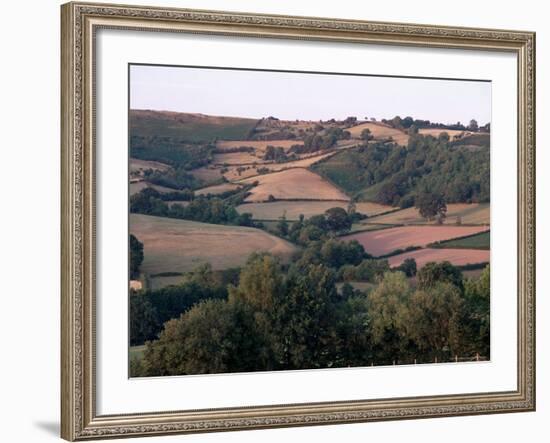 Golden Valley, Herefordshire, England, United Kingdom-Michael Busselle-Framed Photographic Print