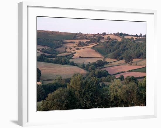 Golden Valley, Herefordshire, England, United Kingdom-Michael Busselle-Framed Photographic Print