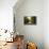 Golden Walk-Viviane Fedieu Daniel-Framed Premier Image Canvas displayed on a wall