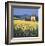 Golden Warmth-David Short-Framed Giclee Print