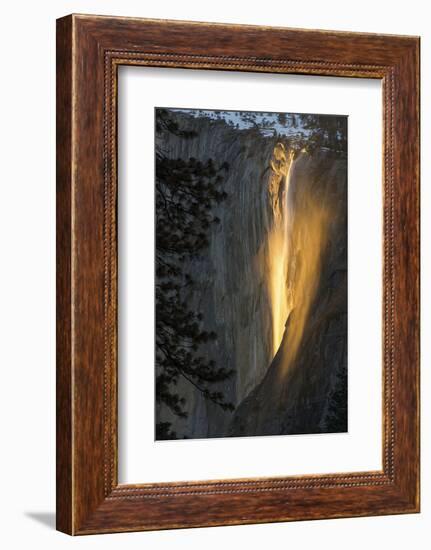 Golden Waterfall-Bjoern Alicke-Framed Photographic Print