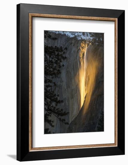 Golden Waterfall-Bjoern Alicke-Framed Photographic Print