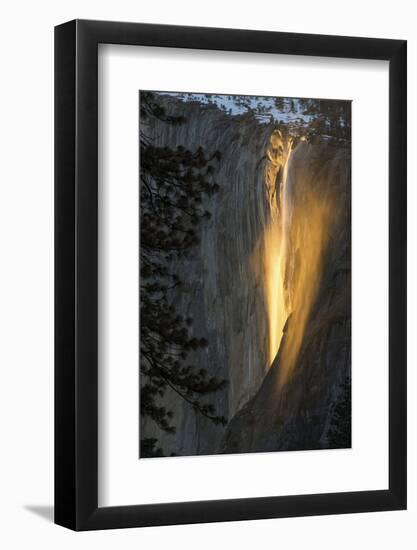 Golden Waterfall-Bjoern Alicke-Framed Photographic Print